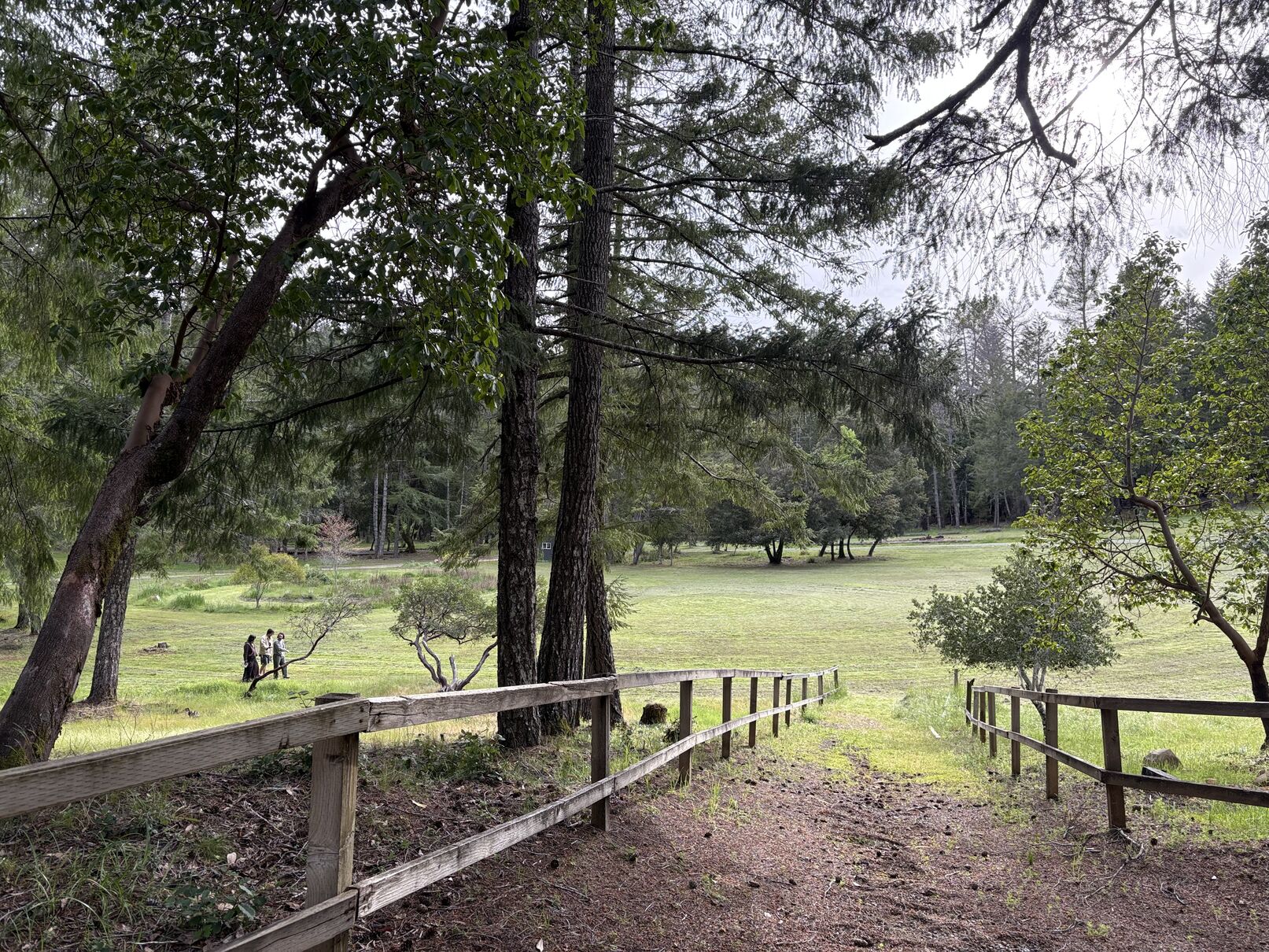 My first meditation retreat